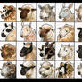 20 Sheepies