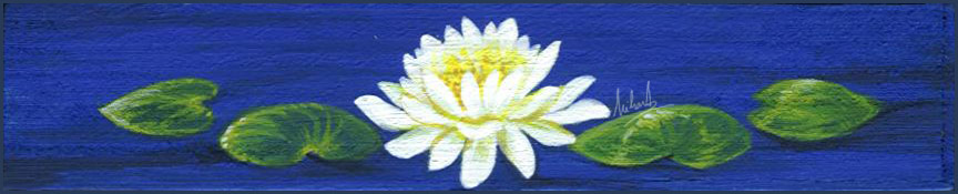 Water Lilly