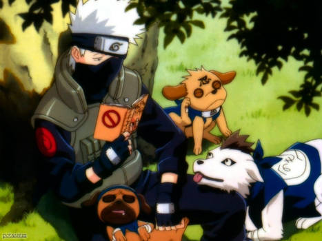 Kakashi and his dogs. n_n