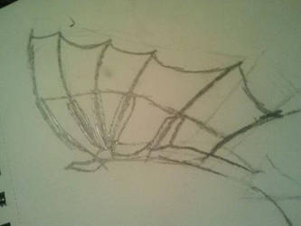 Just a wing I drew