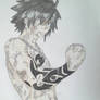 Gray Fullbuster