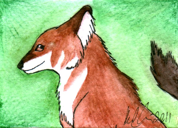 Dhole ATC-sized painting