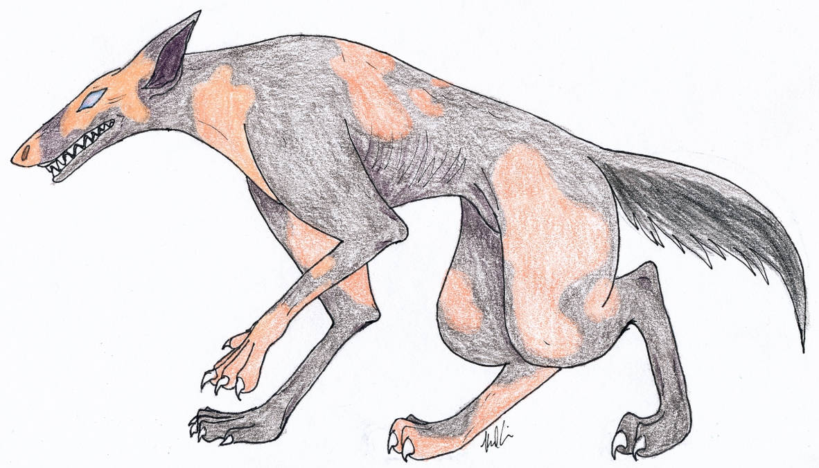 Earless Werewolf Hairless Werewolf adopt - $25 by Lyrak on DeviantArt