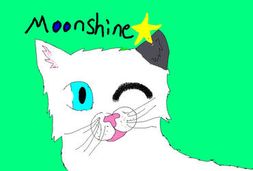 Moonshine