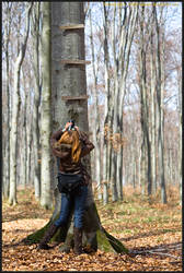 shooting through the forest