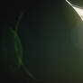 Saturn 35MM Film SDRs
