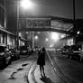 Foggy Night
