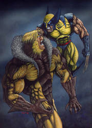 Wolverine Vs Sabretooth