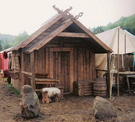 My viking home