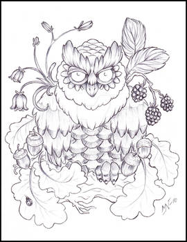 Autumn owl