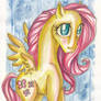 Timid Fluttershy