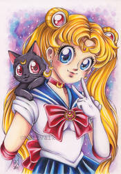 Sailor Moon and Luna