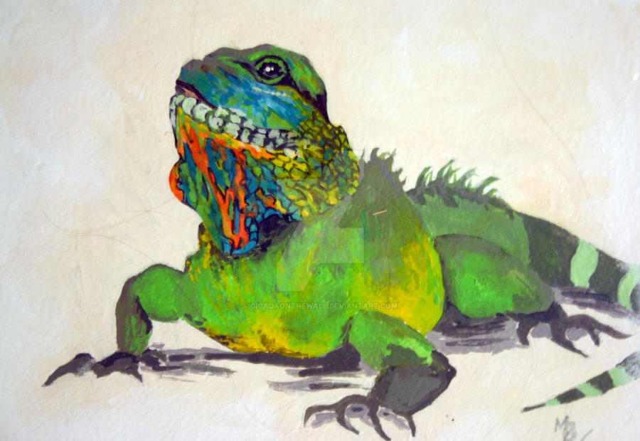 Lizard by CicadaontheWall on DeviantArt