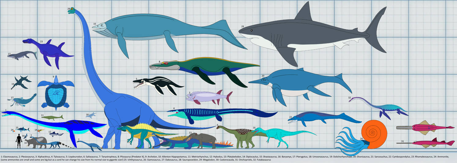 Water Dinosaurs size by Artapon on DeviantArt