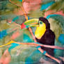 Toucan