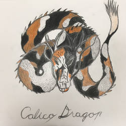 Calico Dragon