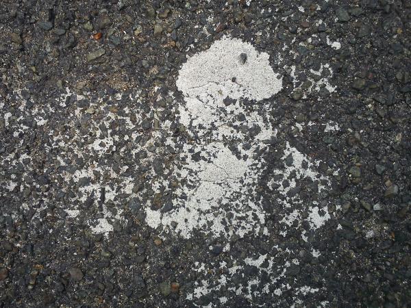 Parking strip skull