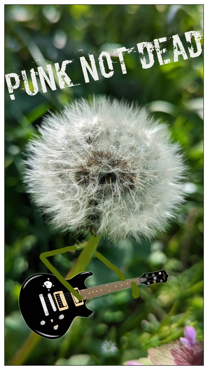 Punk flower by ghosttribe on DeviantArt