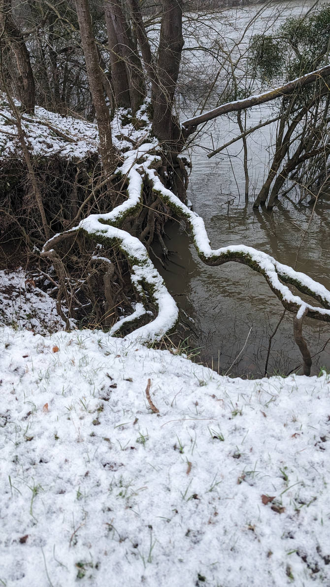 Roots by ghosttribe on DeviantArt