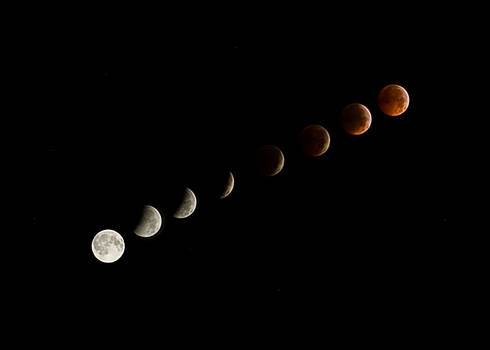 Lunar Eclipse 2010