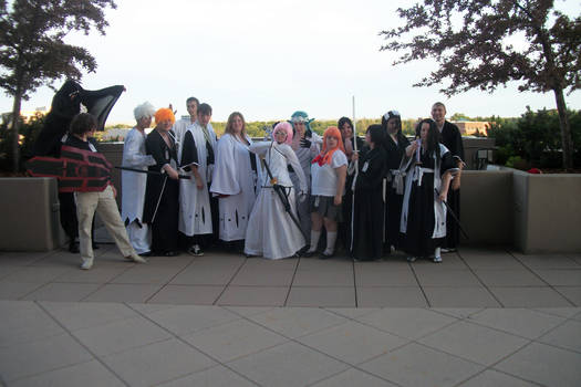 Anime Oasis 2012 Bleach Gathering