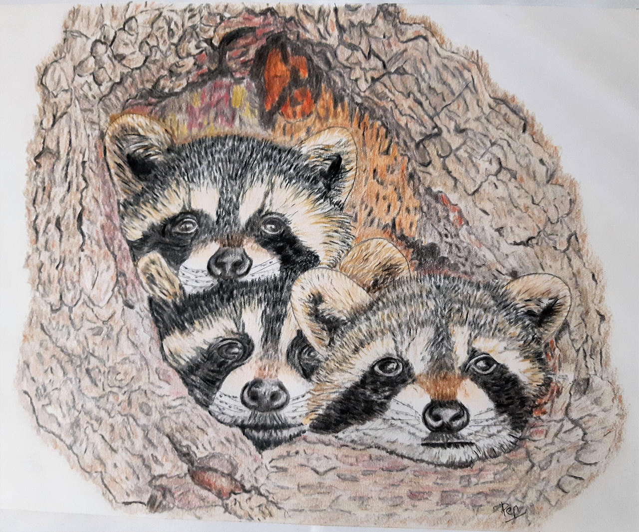 Desk Racoons racoons by pep58 on DeviantArt