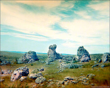 Petit faroueste en Lozere 2