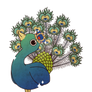 Peacock