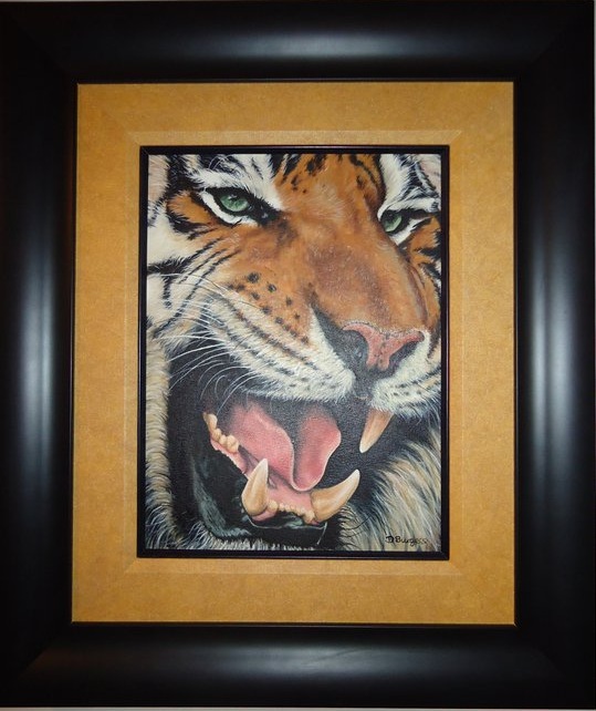 Framed photo of 'Tiger with the missing Tooth