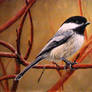 Chickadee