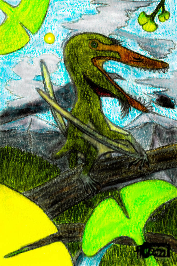 Lingyuanopterus camposi by Galaxoica on DeviantArt