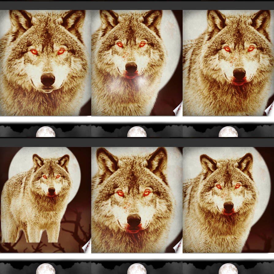 Cd Rudd Deviantart Wolfpack Wolf pack by SamuelBlomquist10 on DeviantArt