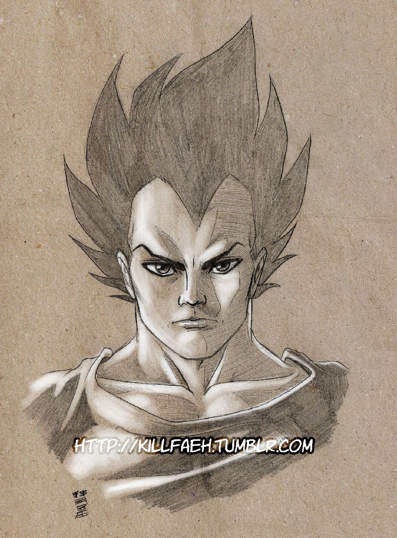 Penciled Vegeta