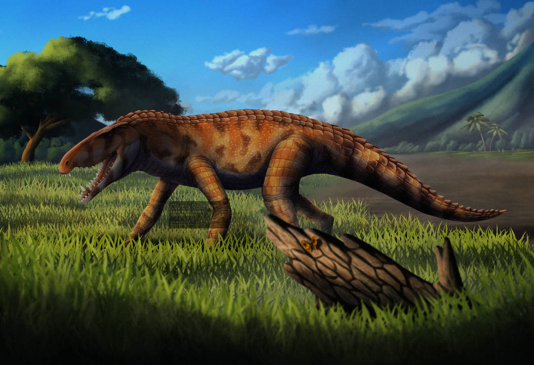 Sebicidae TheNewArtistGR - Professional, Digital Artist | DeviantArt