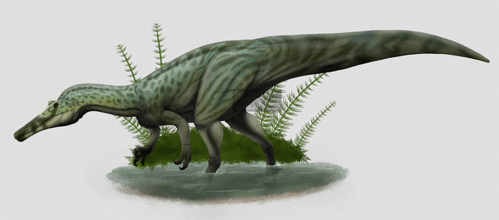 Baryonyx walkeri