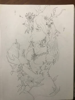 Forest Nymph (pencil sketch)