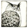 eagle owl etching