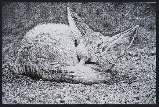 Dozing Fox