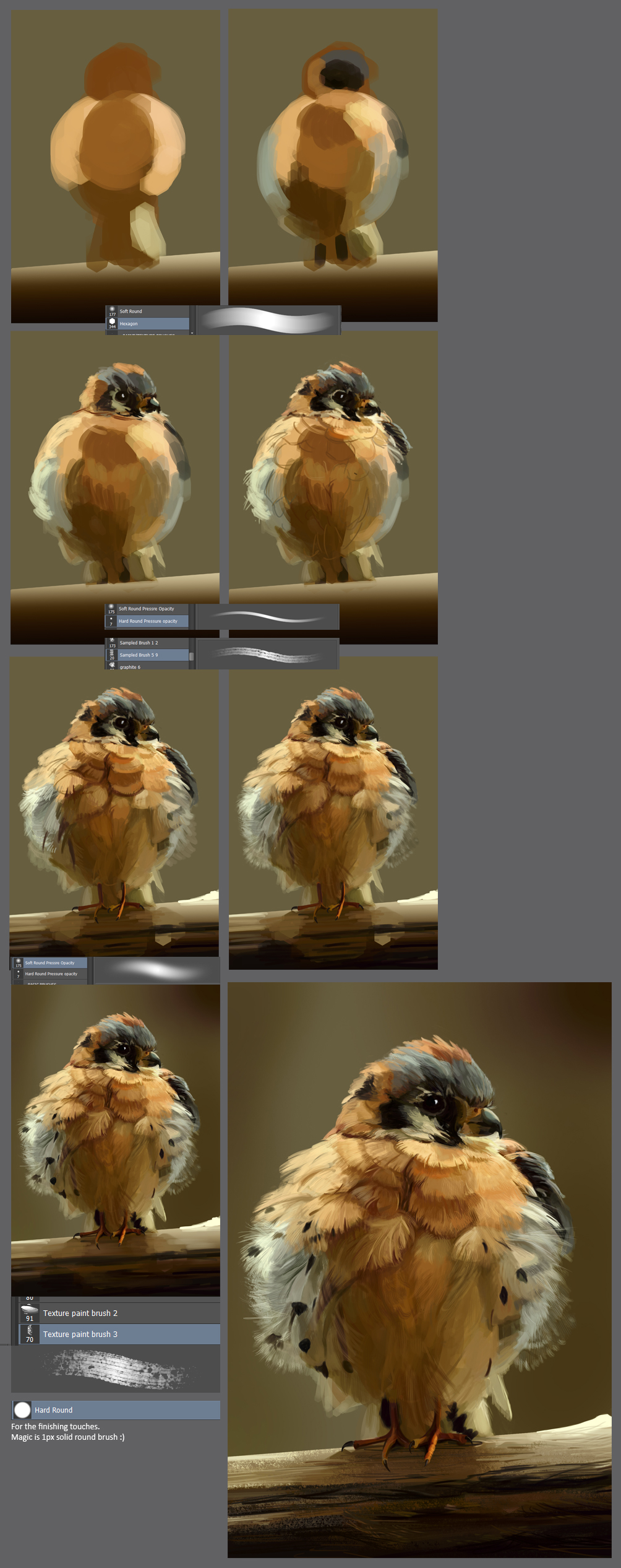 The little angry bird: step by step tutorial