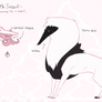 Auction adopt - mr. Seagull |CLOSE|