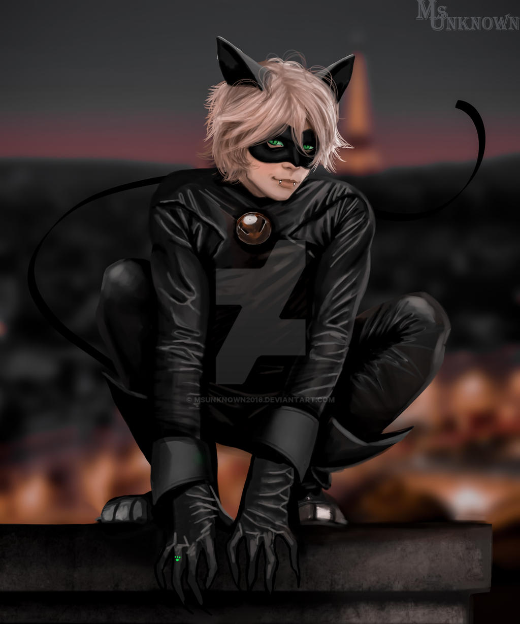 Chat Noir Miraculous Ladybug Fanart By Msunknown16 On Deviantart Chat Noir Miraculous Ladybug Fanart By Msunknown16 On Deviantart