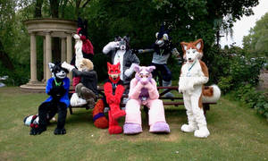 Confuzzled group shot 2011