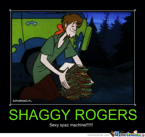 Shaggy Rogers