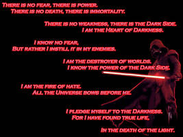 Darth Vader - The Sith Code