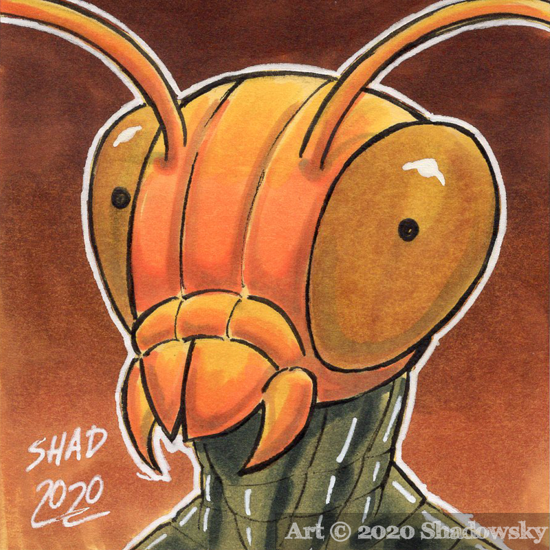 DeepSpaceBug by SamSC on DeviantArt