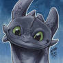 HTTYD Toothless