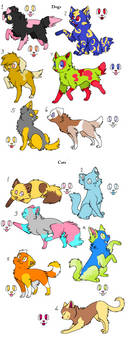 Feline and Canine Adoptables!