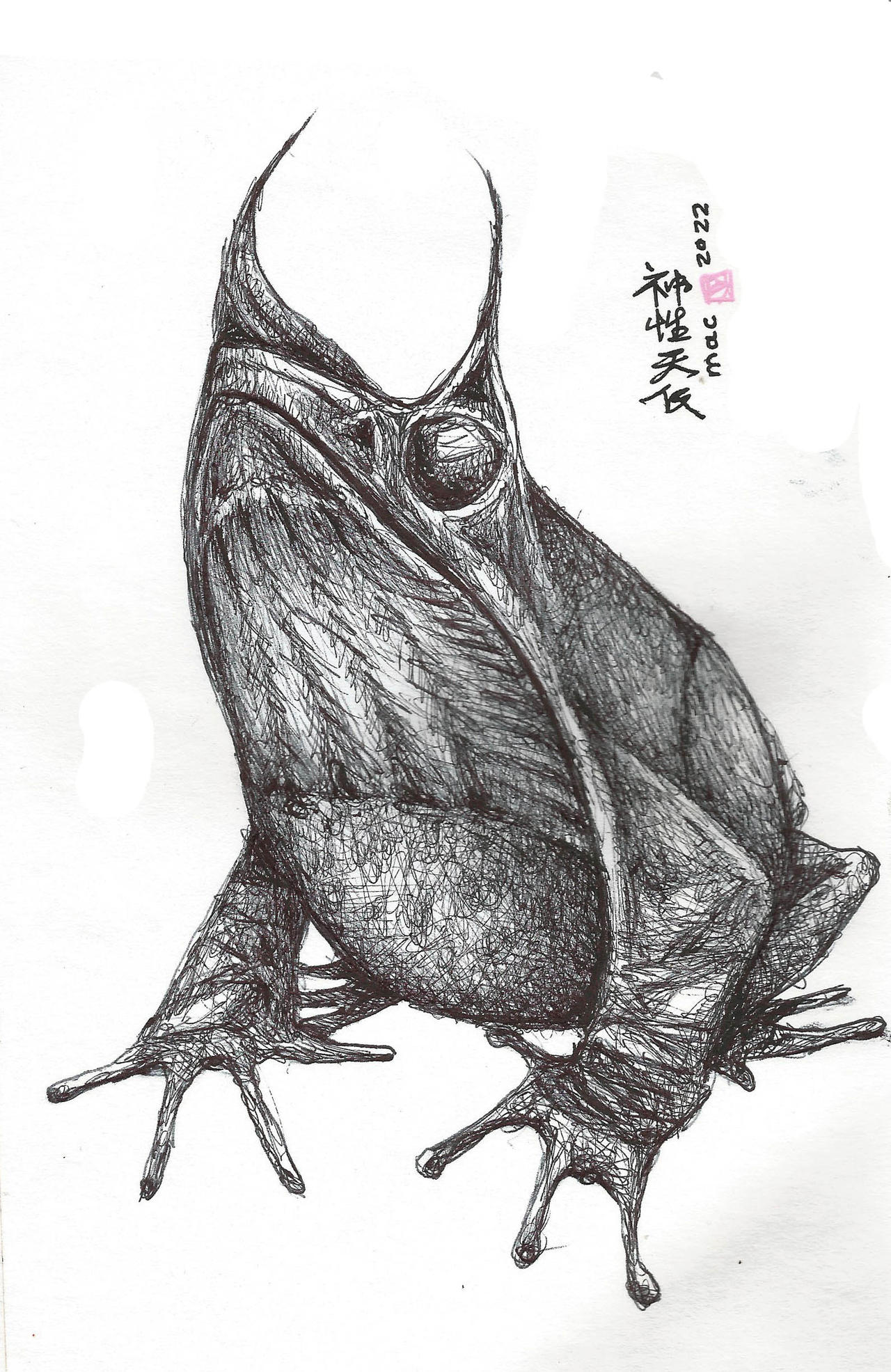 Rana by mikecalderon on DeviantArt