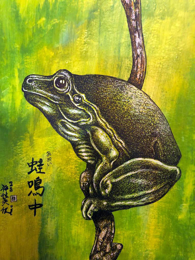 Rana (2) by mikecalderon on DeviantArt