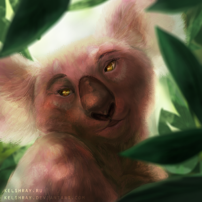 Koala - speedpaint 2016